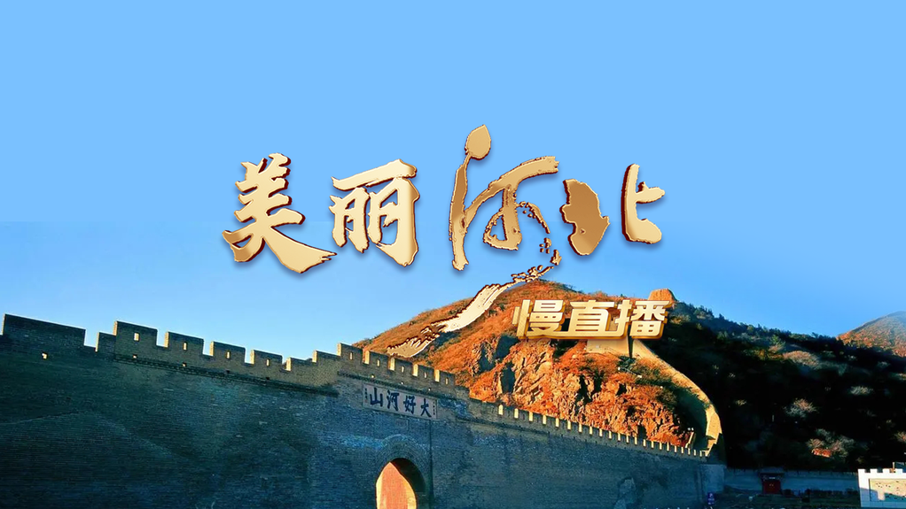 列表图